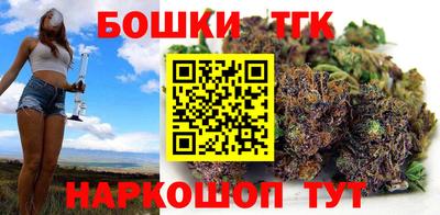 гидра Бердск