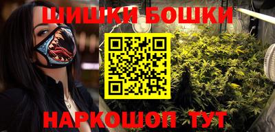 гидра Бердск