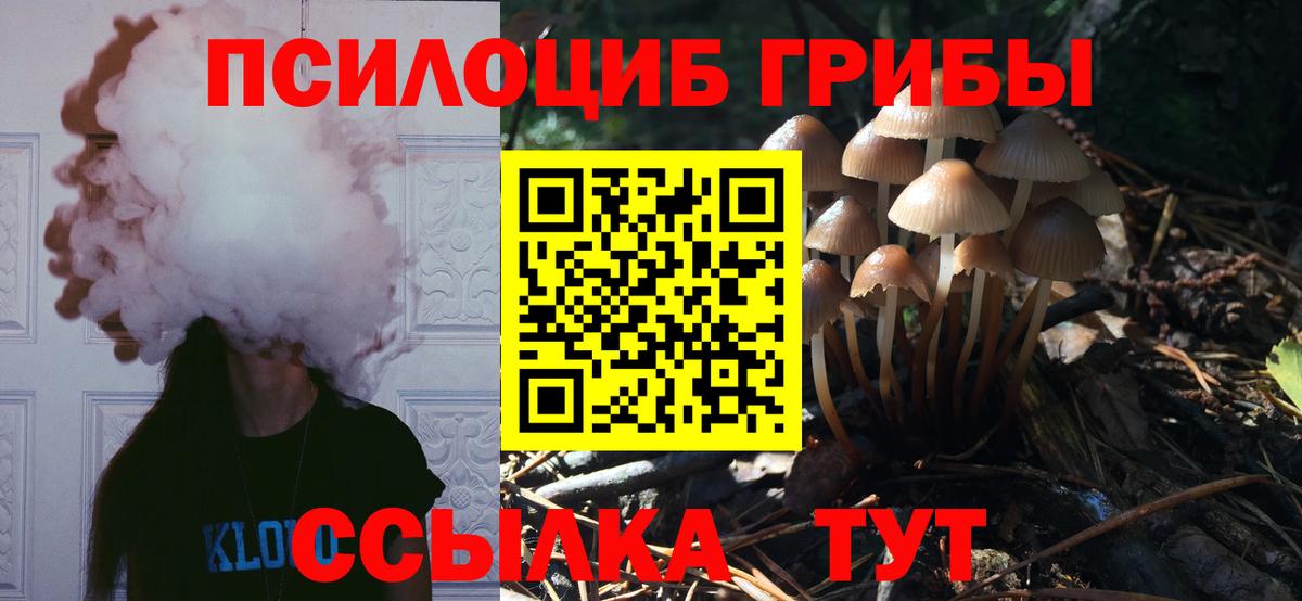 Галлюциногенные грибы MAGIC MUSHROOMS  Вход с VPN  Краснокаменск 